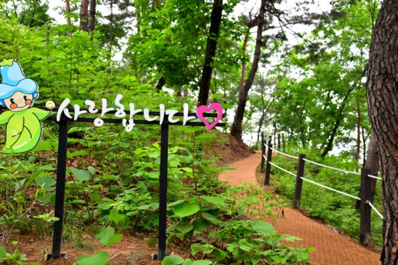 桐華村樹木園（동화마을수목원） (5/8)