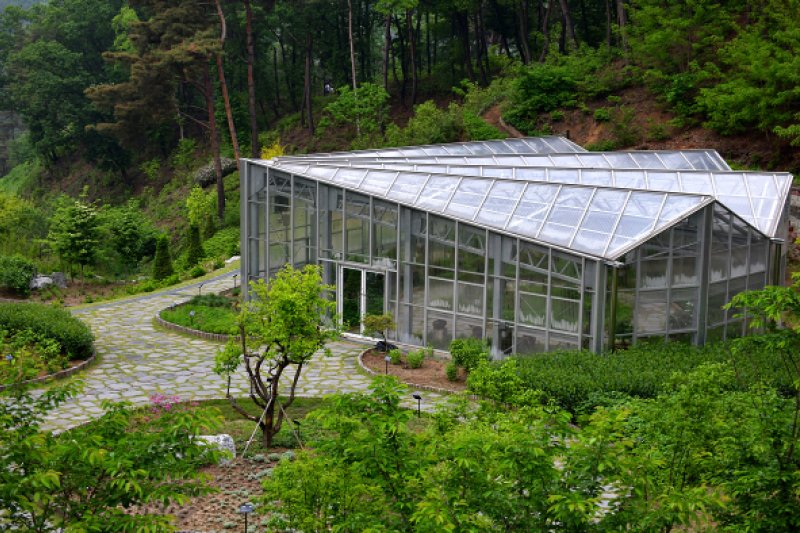 桐華村樹木園（동화마을수목원） (8/8)