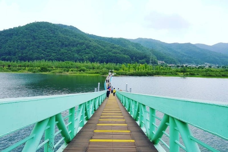 華川 指輪橋＆アルルテーマ樹木公園（화천 반지교&아를테마수목공원） (3/7)