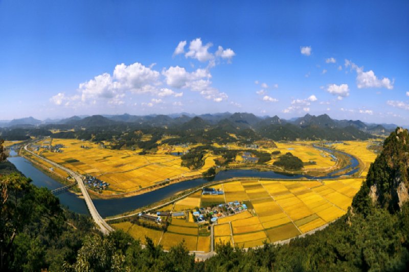 淳昌郡 釵笄山つり橋（순창군 채계산 출렁다리） (6/9)