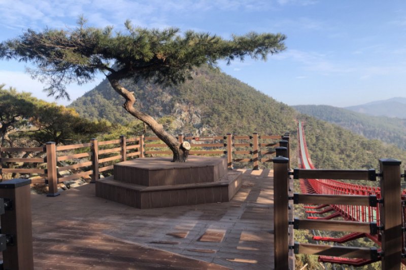 淳昌郡 釵笄山つり橋（순창군 채계산 출렁다리） (7/9)