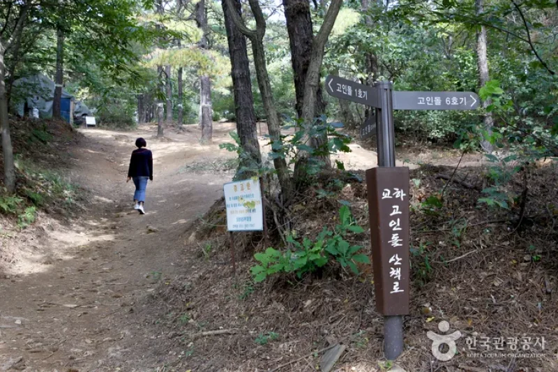 坡州臨津八景（파주임진팔경） (9/9)