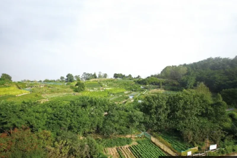 始興 烏耳島遺跡（시흥 오이도 유적） (4/6)