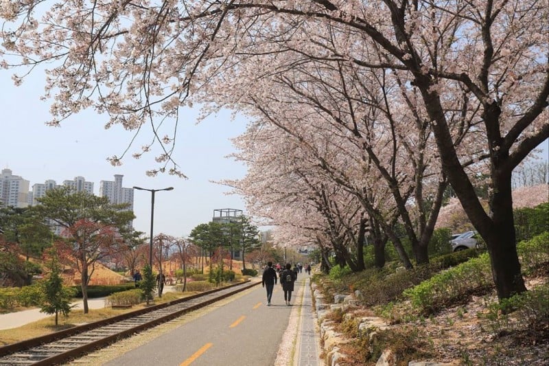 線路の森＆火の庭園（철길숲 &amp; 불의정원） (1/6)