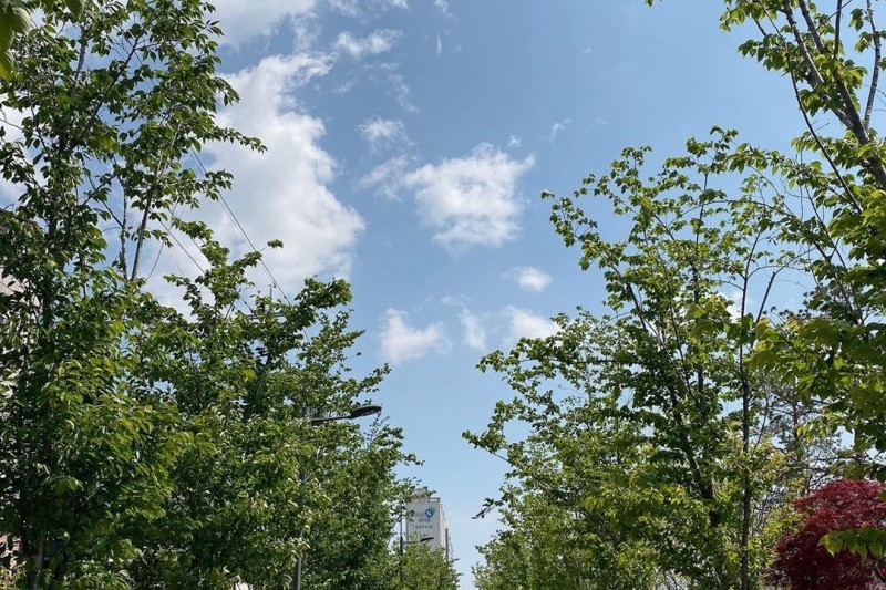 線路の森＆火の庭園（철길숲 &amp; 불의정원） (6/6)