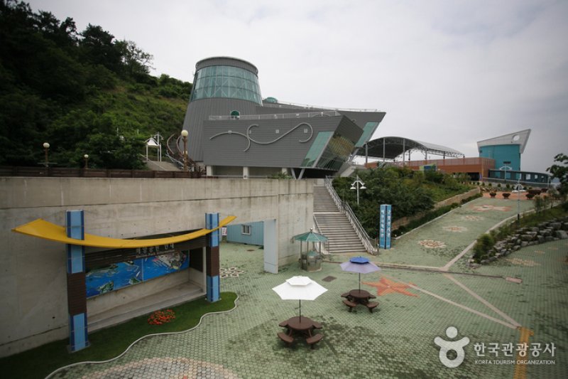 昌原海洋公園 (5/5)