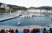 巨済シーワールド（거제씨월드）
