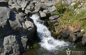 橋洞カマソ（漢灘江国家地質公園）（교동 가마소 (한탄강 국가지질공원)）