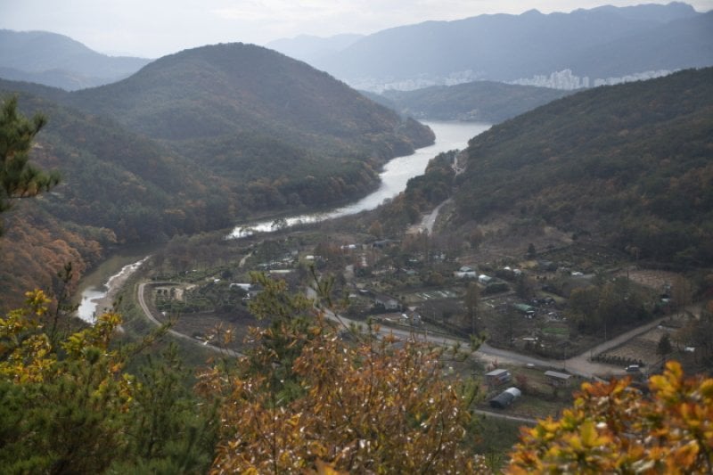 釜山 癒しの森（부산 치유의 숲） (4/6)
