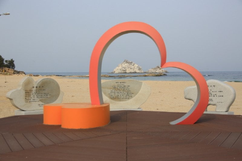 祥雲小学校 (1/6)