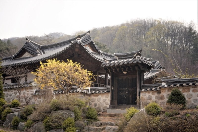 ヒョジョン堂[韓国観光品質認証]（효종당 [한국관광 품질인증/Korea Quality]) (6/9)