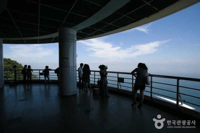 太宗台 釜山国家地質公園 (5/20)