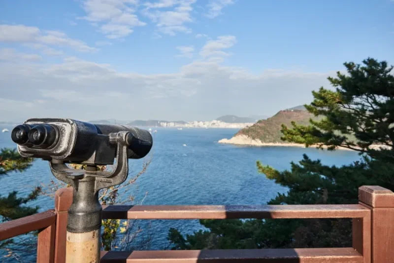 太宗台 釜山国家地質公園 (13/20)