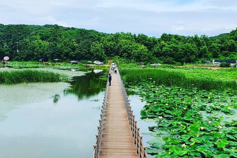 喬桐島（江華）（교동도（강화）） (22/27)