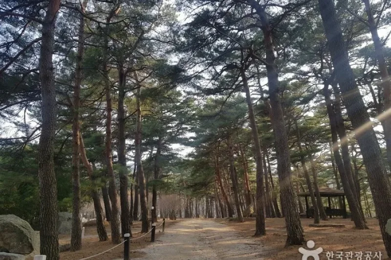  (2/11)