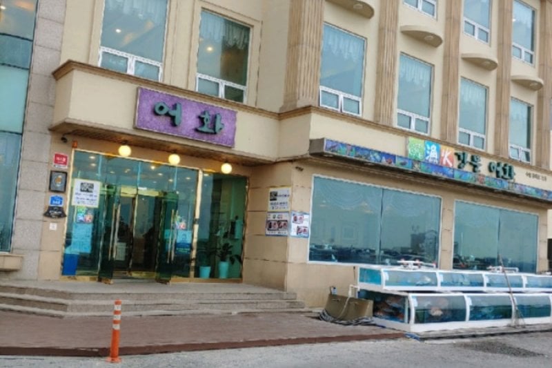 江門魚火刺身専門店  (1/1)