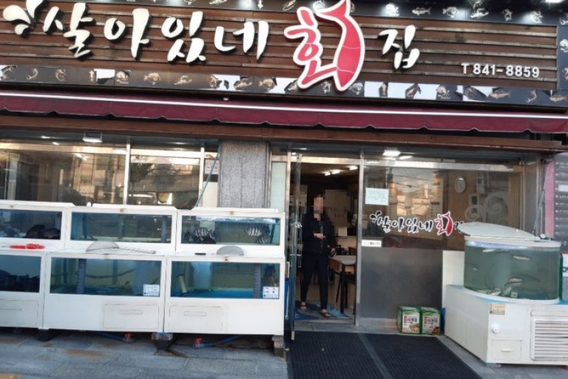 サラインネ刺身専門店  (1/1)
