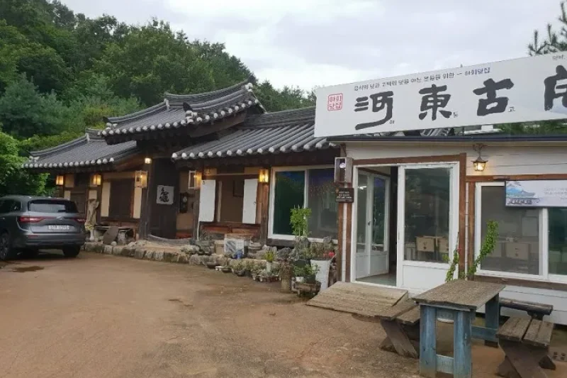 河回マッジプ  (1/1)