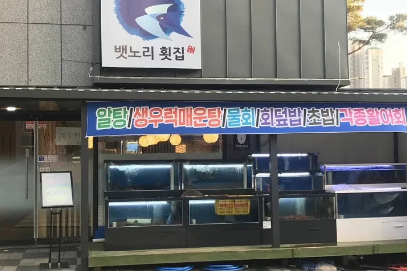 ベンノリ刺身専門店  (1/1)