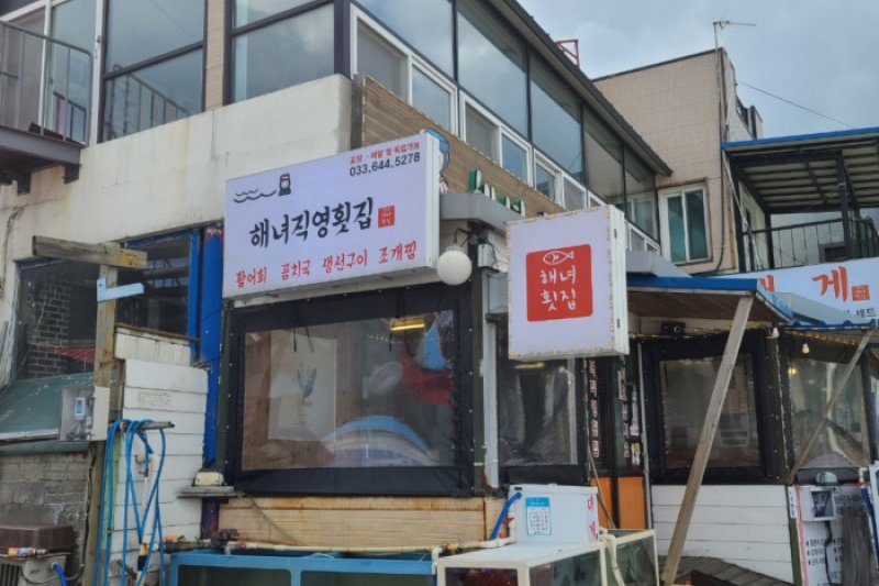 海女直営刺身専門店  (1/1)
