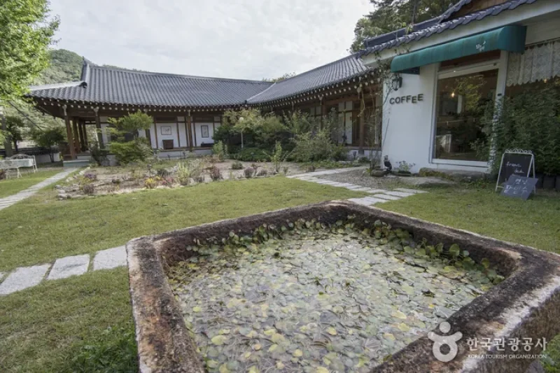 月の庭園 (2/14)