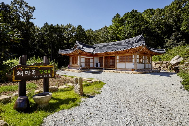 へマルヒーリングの森[韓国観光品質認証]（해마루 힐링숲 [한국관광품질인증/Korea Quality]） (2/7)