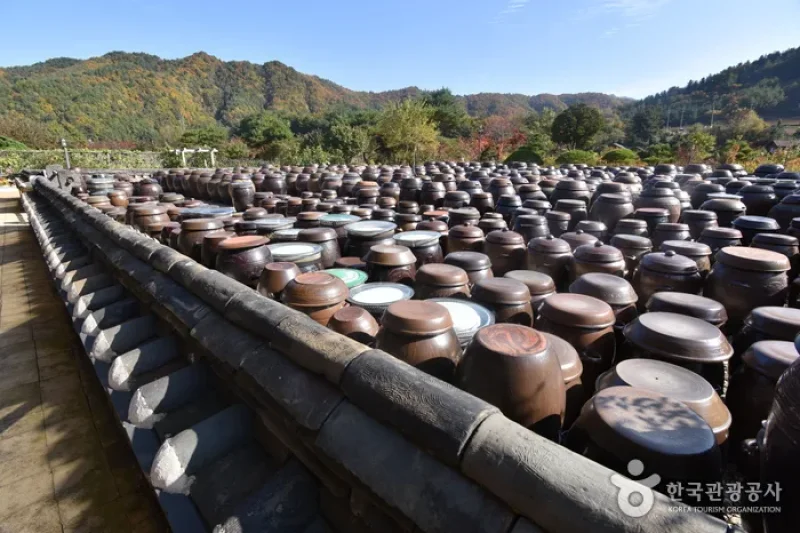 静江園観光農園[韓国観光品質認証]정강원 관광농원[한국관광품질인증/Korea Quality] (18/25)
