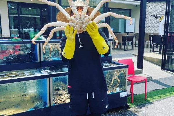 鏡浦台ゾニョク刺身専門店