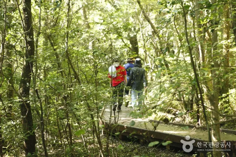 西帰浦治癒の森 (3/5)