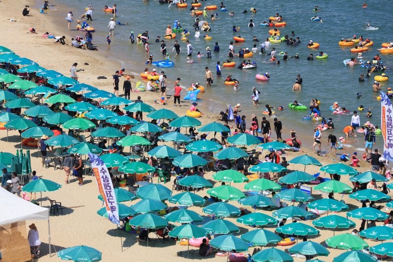 松島海水浴場 (32/32)