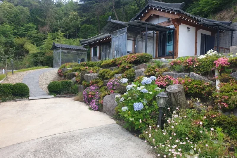 順天湾の森 [韓国観光品質認証] / 순천만숲 [한국관광 품질인증/Korea Quality] (2/9)