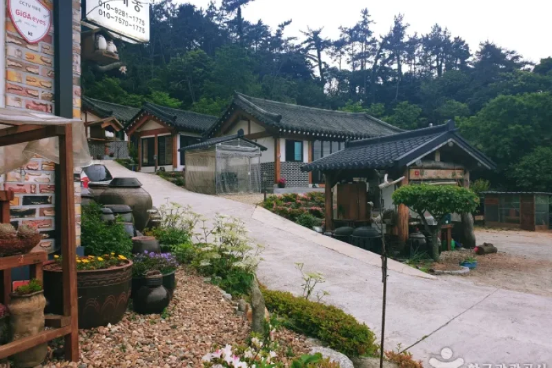 順天湾の森 [韓国観光品質認証] / 순천만숲 [한국관광 품질인증/Korea Quality] (3/9)