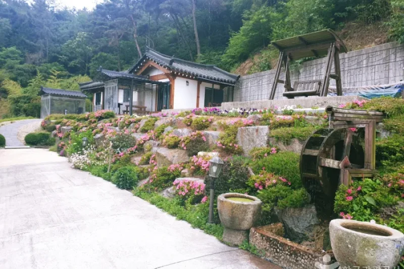 順天湾の森 [韓国観光品質認証] / 순천만숲 [한국관광 품질인증/Korea Quality] (4/9)