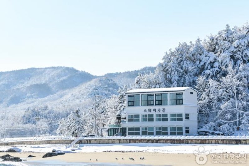 ステイ加津 [韓国観光品質認証] / 스테이가진 [한국관광 품질인증/Korea Quality] (1/4)