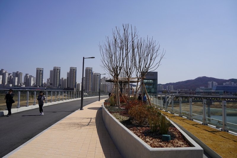 錦江歩行橋 (9/10)