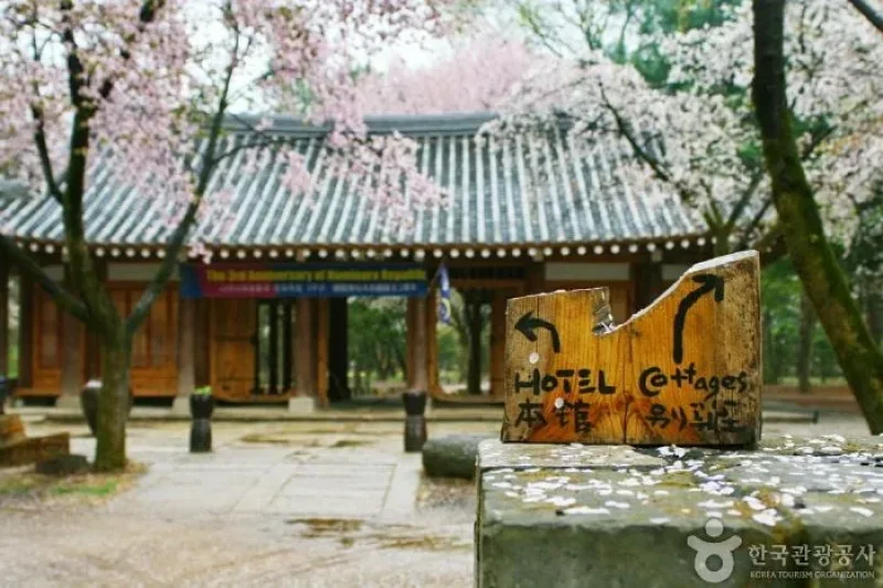 ホテル静観楼本館 [韓国観光品質認証] / 호텔정관루본관 [한국관광 품질인증/Korea Quality] (13/17)