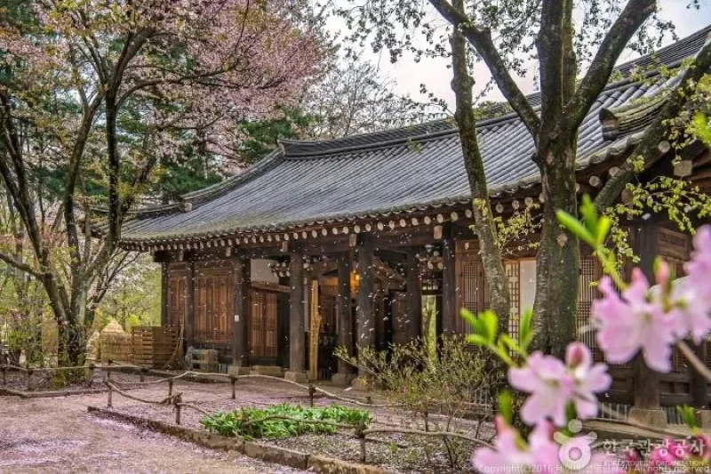 ホテル静観楼本館 [韓国観光品質認証] / 호텔정관루본관 [한국관광 품질인증/Korea Quality] (14/17)