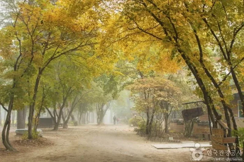 ホテル静観楼本館 [韓国観光品質認証] / 호텔정관루본관 [한국관광 품질인증/Korea Quality] (15/17)