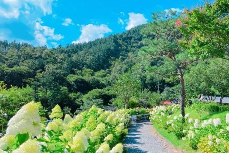 所陽故宅・韓屋ステイ[韓国観光品質認証] / 소양고택 한옥스테이 [한국관광 품질인증/Korea Quality] (2/5)