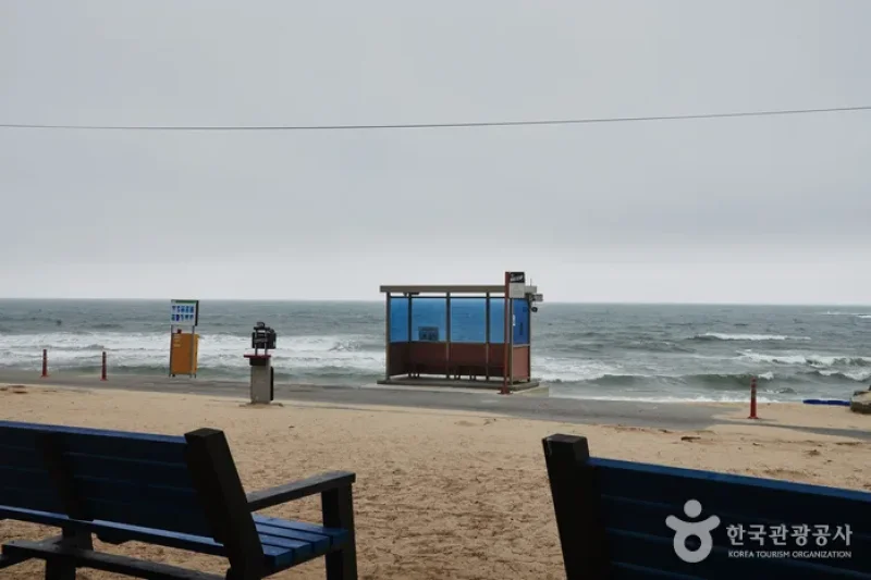 香湖海水浴場 (1/3)