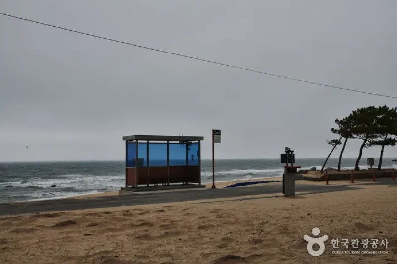 香湖海水浴場 (3/3)