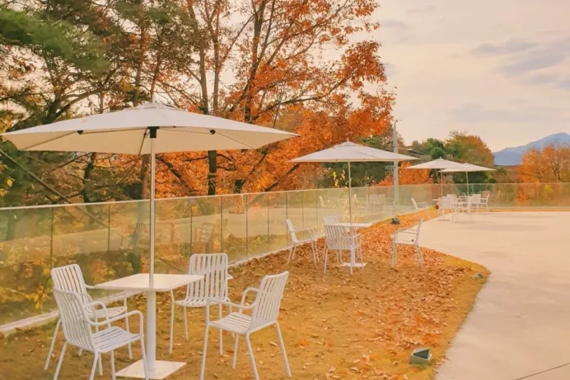 Cafore Cafe (4/6)