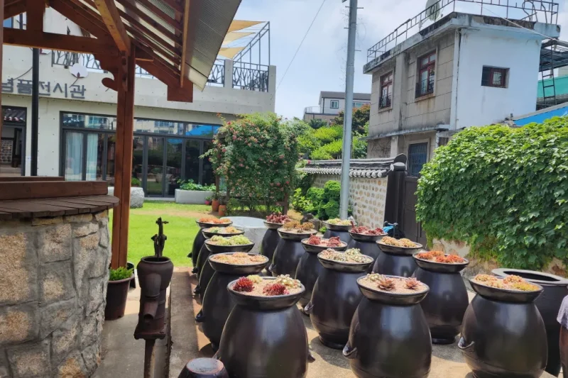 江華ソチャン(小倉)体験館 (6/32)