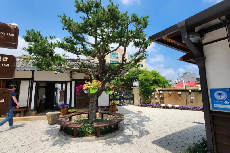 江華ソチャン(小倉)体験館 (16/32)