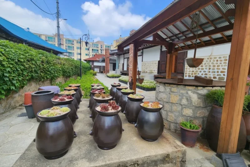 江華ソチャン(小倉)体験館 (26/32)