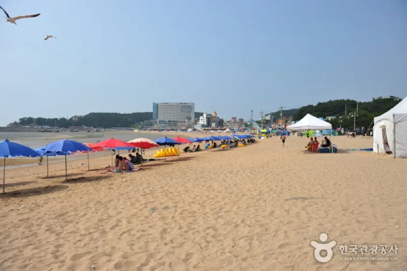 乙旺里海水浴場 (8/10)