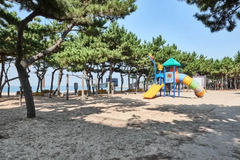 乙旺里海水浴場 (10/10)