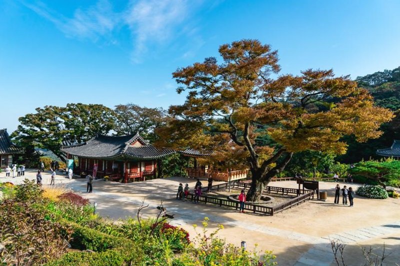 伝燈寺（江華） (4/6)