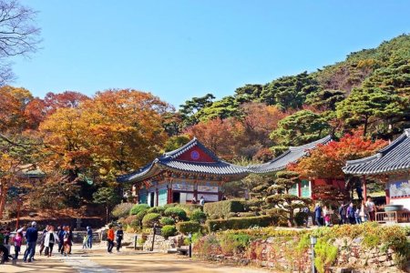 伝燈寺（江華）
