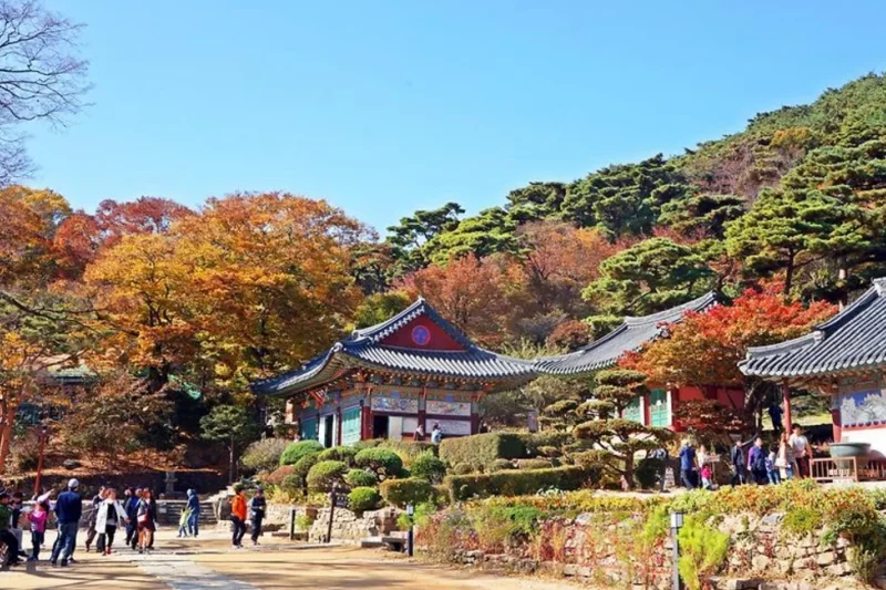 伝燈寺（江華） (6/6)